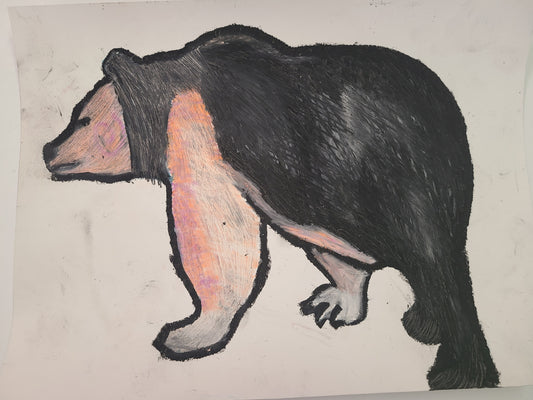 Anna B. Bear Oil Pastel Drawing