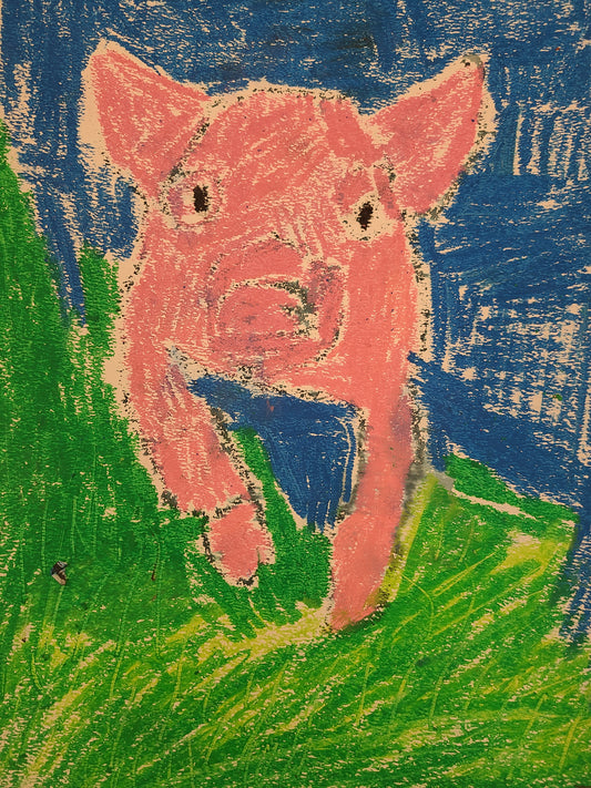 Todd D. Pig Pastel Drawing