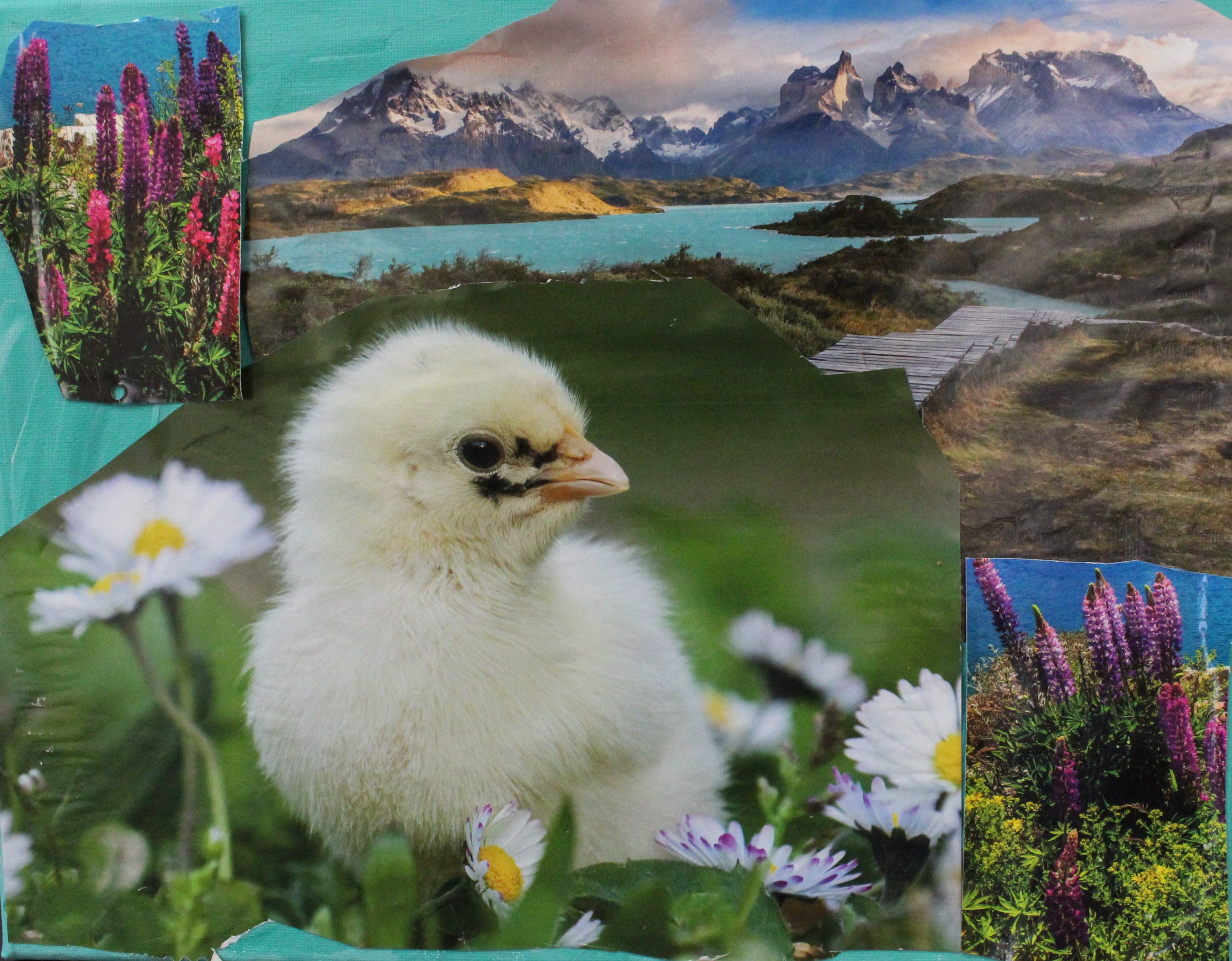 Phil H. Duck and Flowers Mixed Media Collage